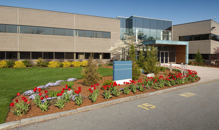 commercial lawn care